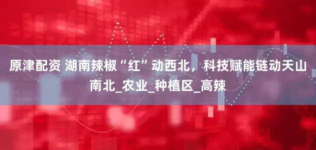 原津配资 湖南辣椒“红”动西北，科技赋能链动天山南北_农业_种植区_高辣